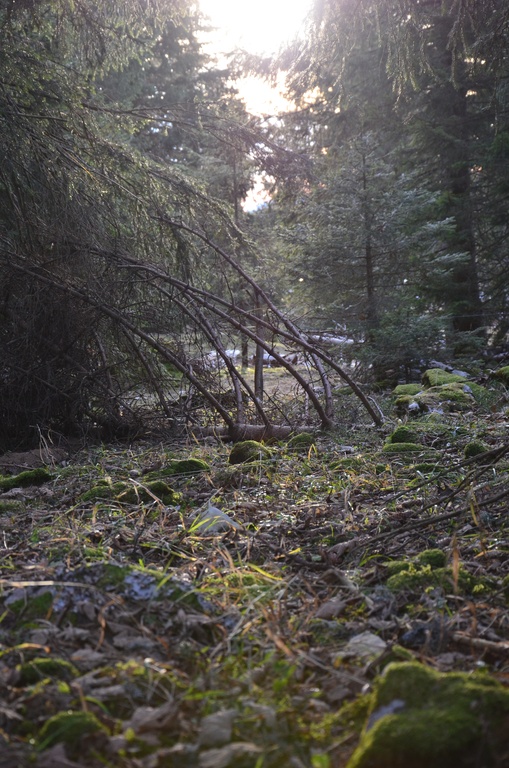 2016-12 France/Le Semnoz/DSC_0274.JPG